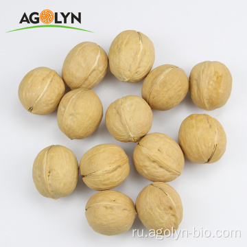 Продается новый Crop Xinjiang 185 Walnut.